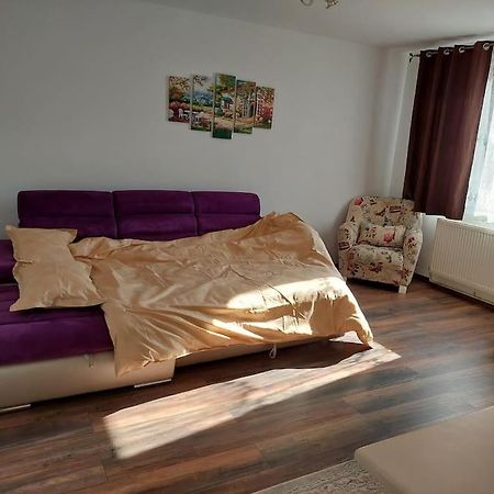 Apartament In Sighetu Marmatiei Apartment Exterior foto