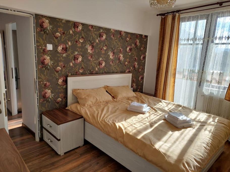 Apartament In Sighetu Marmatiei Apartment Exterior foto
